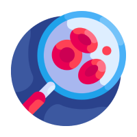 Anaemia Test & Profile 